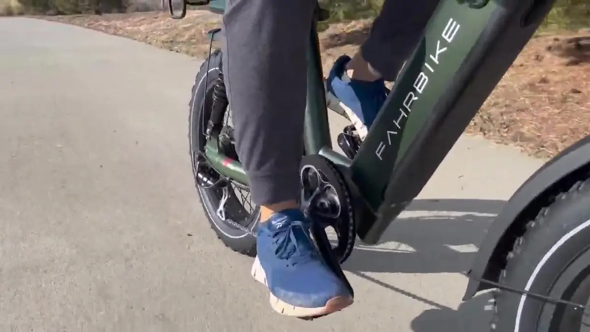 Fahrbike Roadster 73, photo from Will's test ride video