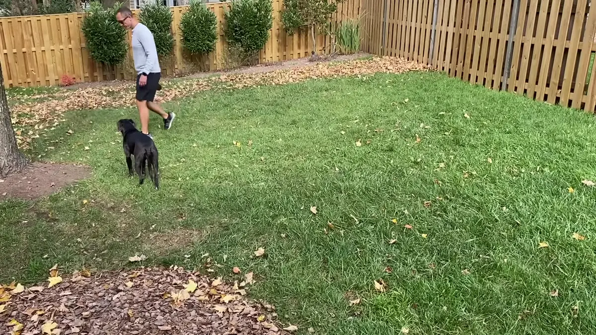 Toro 60V Leaf Blower, frame from Will's review video